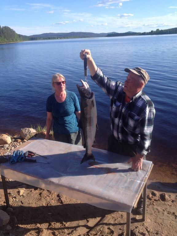מלון פלו Arctic Camping Finland מראה חיצוני תמונה